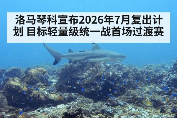 洛马琴科宣布2026年7月复出计划 目标轻量级统一战首场过渡赛